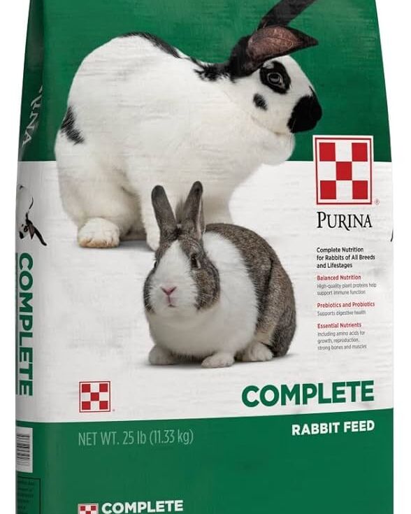 Rabbit Feed