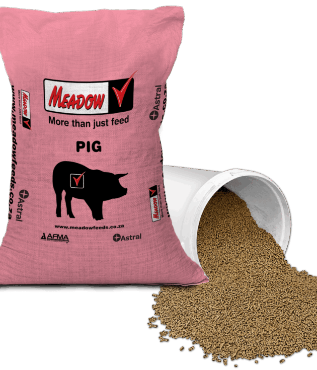 Pig Grower Feed