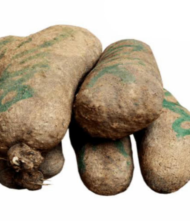 Yam