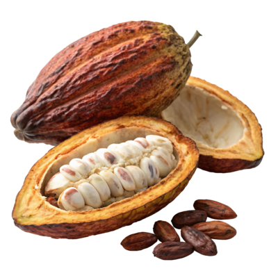 Cocoa