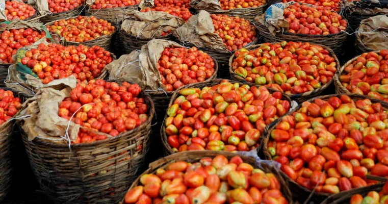 Glens Farms
