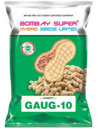 Groundnut Seeds