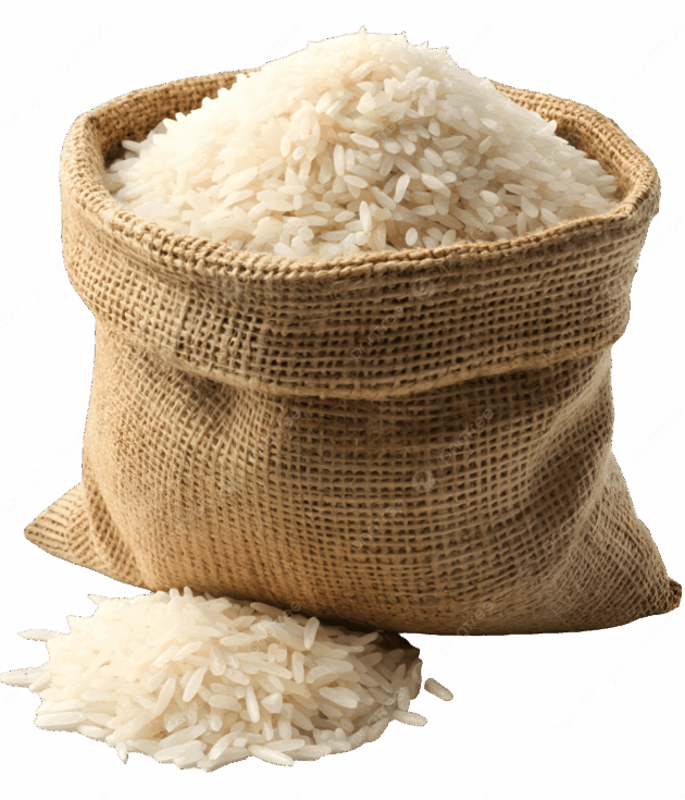 Rice